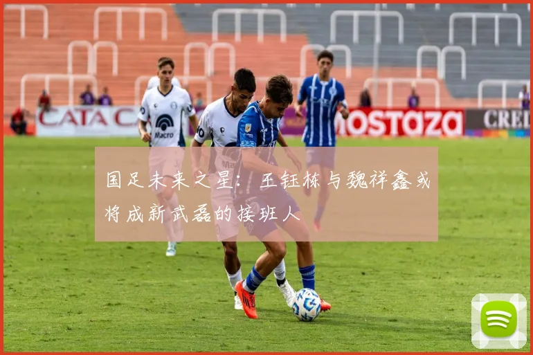 国足未来之星：王钰栋与魏祥鑫或将成新武磊的接班人